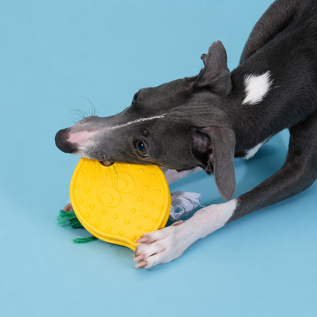 Lemon Dental Chew Toy