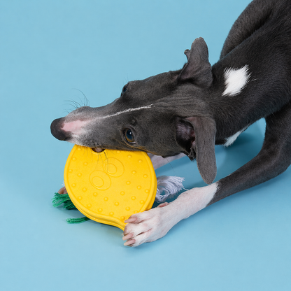 Lemon Dental Chew Toy