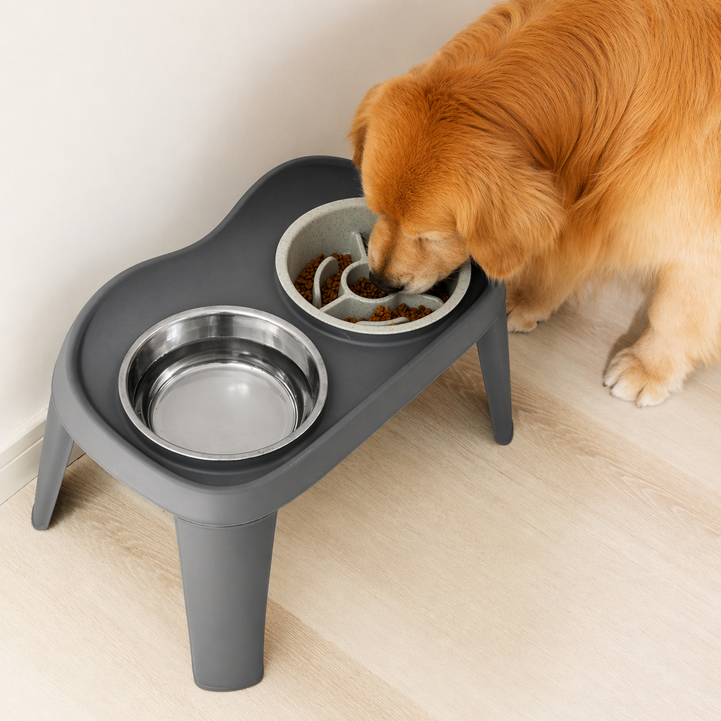 Elevated Dog Feeding Station with Stainless Steel Bowls