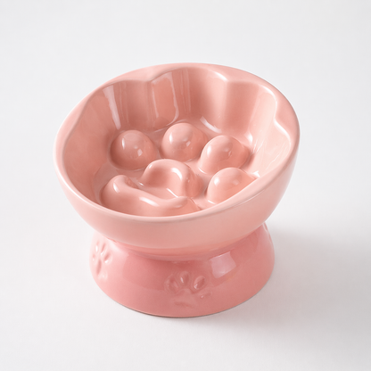 Ceramic Slow Feeder Bowl