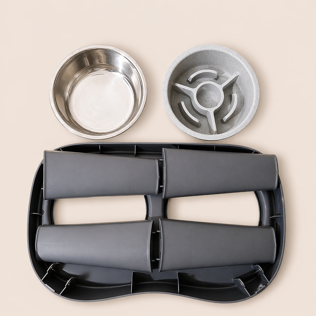 Elevated Dog Feeding Station with Stainless Steel Bowls