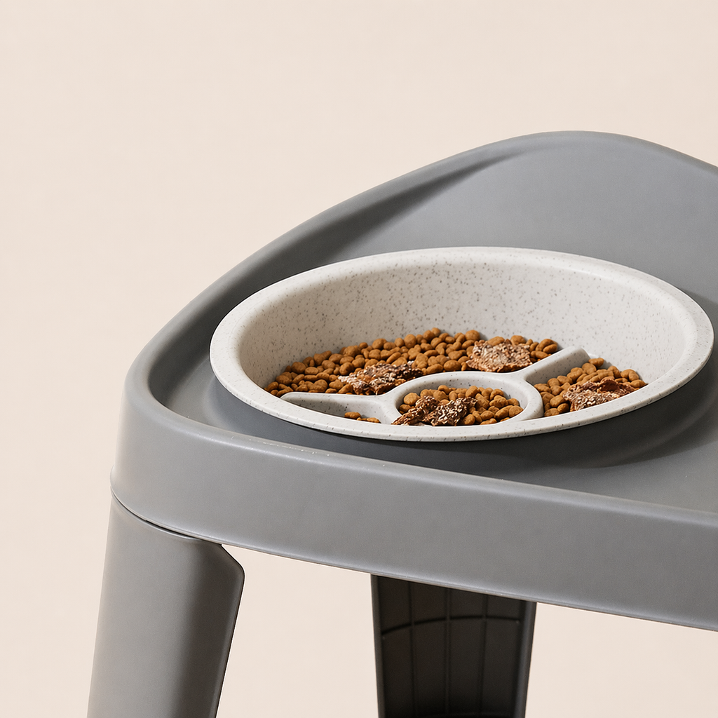 Elevated Dog Feeding Station with Stainless Steel Bowls