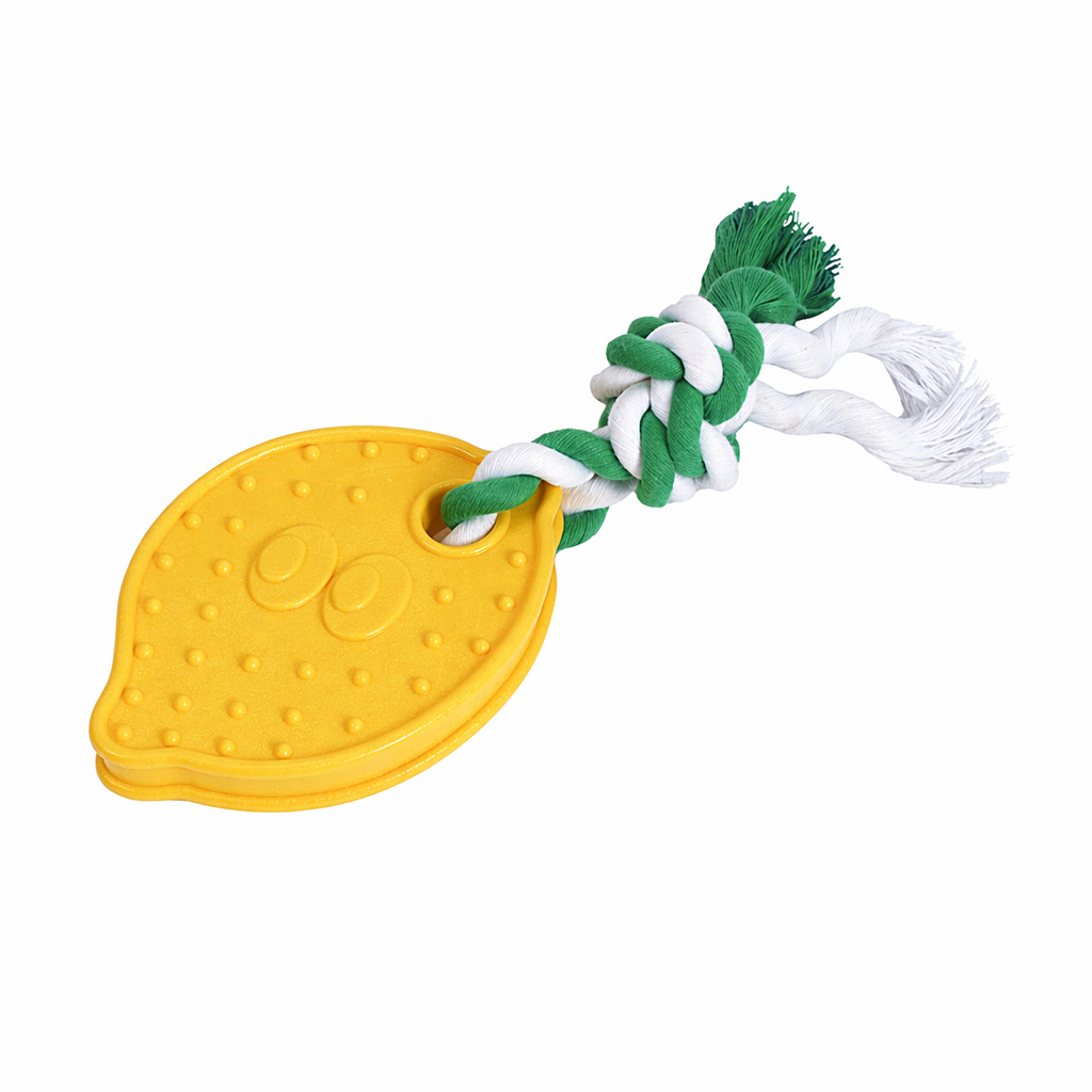 Lemon Dental Chew Toy