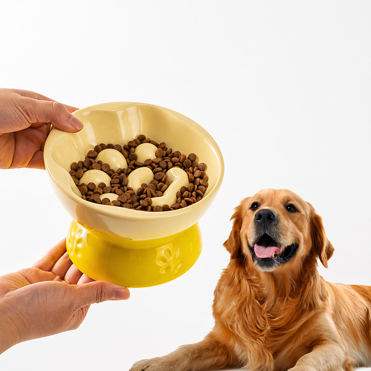 Ceramic Slow Feeder Bowl