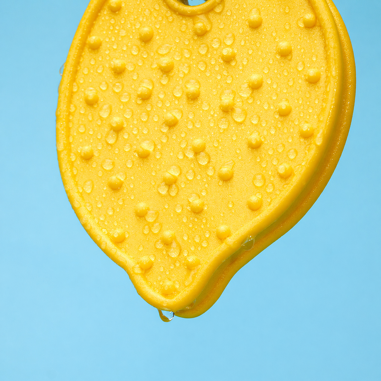 Lemon Dental Chew Toy